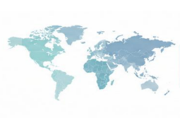 Global technology partner network